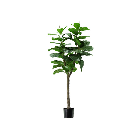 Ficus lyrata en polyéthylène avec 60 feuilles et pot avec mousse, 130cm