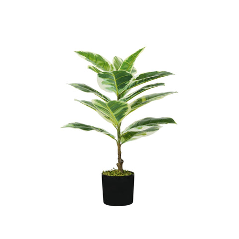 Ficus elastica en polyéthylène avec 15 feuilles et pot avec mousse, 65cm