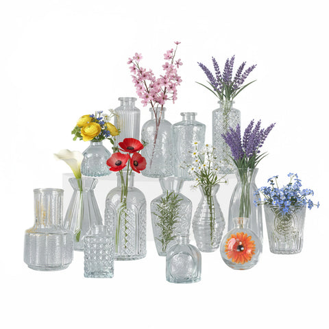Set de 15 petits vases en verre transparent pour fleurs et centres de table, formes et dimensions variées