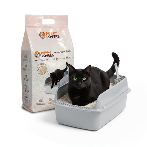 Litière végétale absorbante 6 L - Litière pour chat 4+2 offerts