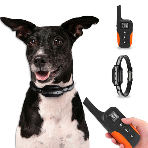 Collier de dressage pour chiens de grande/petite taille - Étanche et contrôle jusqu’à 1000 m