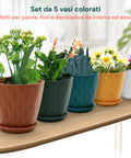 Confezione da 5 Vasi Multicolore in Plastica Ecologica con Drenaggio – Ø 15cm