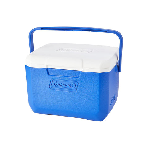Thermische koelbox 4l