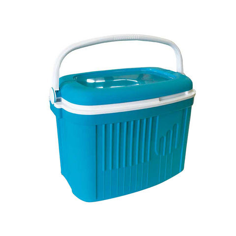 Draagbare koelbox 42 l