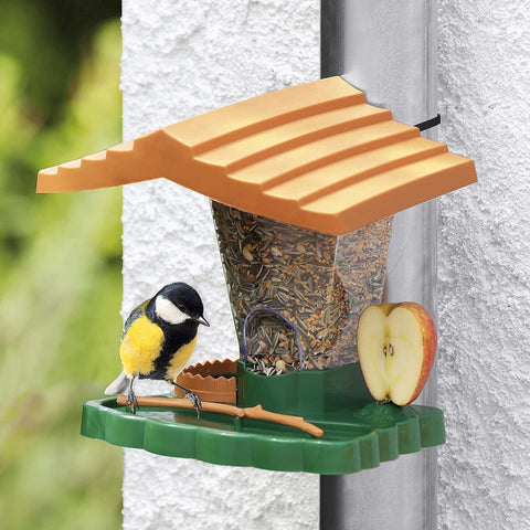 Maisonnette cache-cache pour oiseaux
