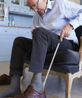 immagine-2-oem-calzascarpe-estendibile-in-metallo-pratico-e-comodo-per-scarpe-ean-4029811313679