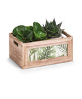 immagine-3-zeller-scatola-jungle-organizer-in-legno-31x21x14cm-ean-4003368151755