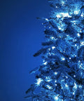 immagine-6-euronatale-catena-luminosa-per-esterno-500-luci-blu-25m-ean-8019959422377