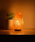 immagine-6-voganto-lampada-di-sale-himalaya-purifica-ambiente-con-lampada-15w-152-kg-ean-8033738181828