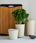 immagine-8-wenko-barattolo-per-alimenti-parla-in-bambu-090l-ean-4008838285190